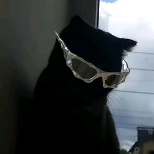 小蒋海纳百川头像