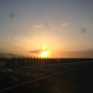 🐾吃饱好减肥🐾头像