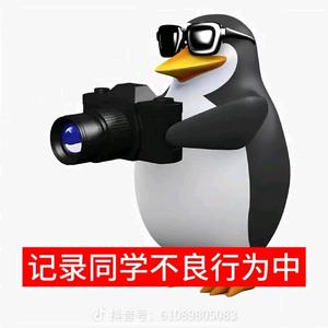 WZT07623300520头像