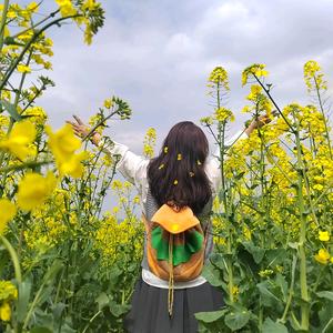 💞小马头像
