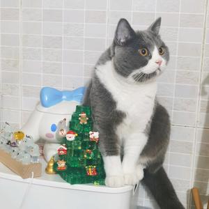 年年与哖哖头像