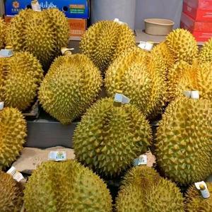 锦州水果批发市场的变迁与发展