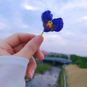 @ღ᭄姐是限量版ꦿ꧔ꦿ᭄💞：头像