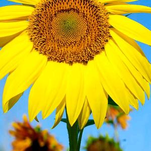 这是不是看你的头像