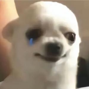 抽象小渔晴🐟头像