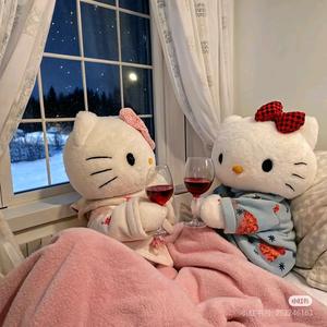 ^迷糊浣熊.ᥫᩣ头像