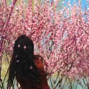 时光慕青丝头像