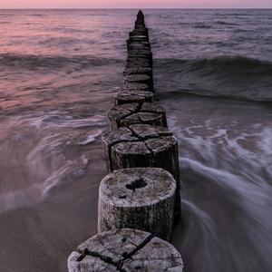 黑夜的萤火虫头像