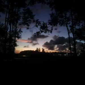 听风也是雨头像