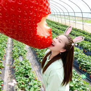 树叶的离去，是风的追求头像