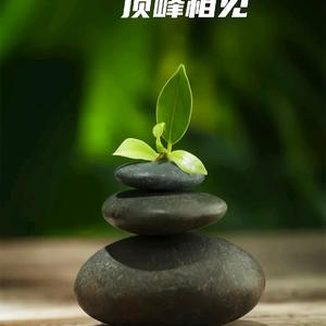 🐫沙漠骆驼头像