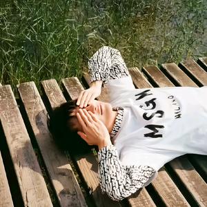 Z.S周辰鱼. 🐟头像