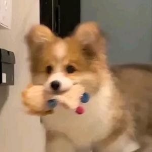 每天都是五点睡头像