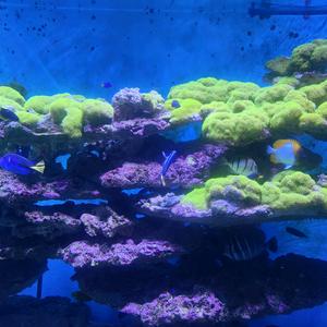 快来预约家业和生命树吧头像