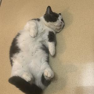 陈好美（离职版）头像