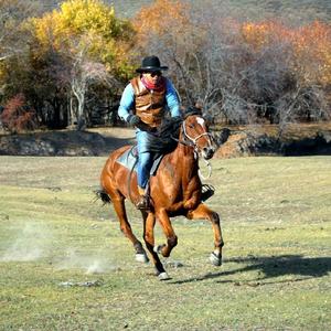 公爵（滑雪，骑马教学）头像