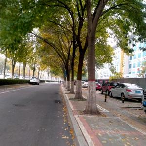 物业人考证头像