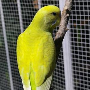 因为有天天有头像