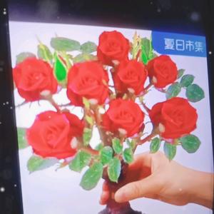 带刺的玫瑰张姐头像