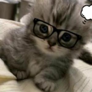 乐观的滑雪板头像