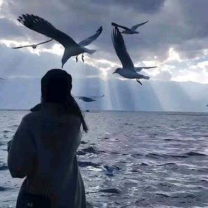 派大星星星.头像