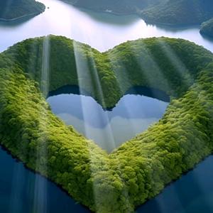 揽山河入怀a头像