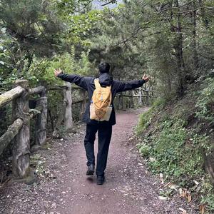 专科成长营-小金老师头像