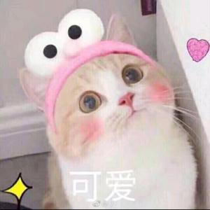 可可很美味头像