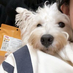 唱歌瘾犯了头像