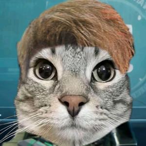 花花小师（三角洲跑刀）头像