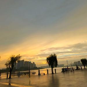 秋天的小书虫头像