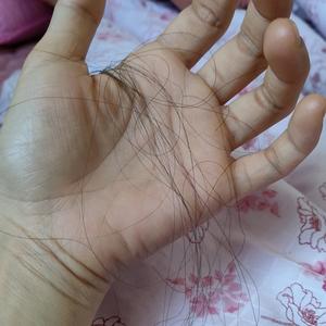 常备逍遥丸头像