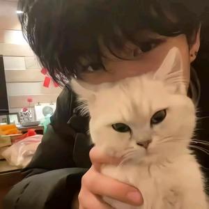 kitty（三角洲行动）头像