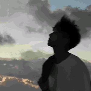 不见南城花头像