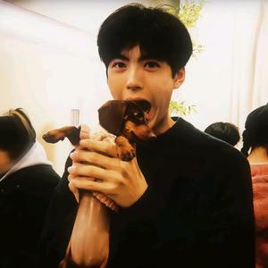 陈不了冠希头像