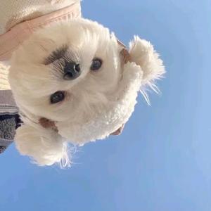 二儿三吉头像