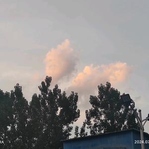 离石家电清洗小赵头像