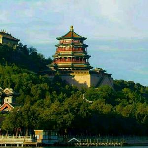 清风竹间行头像