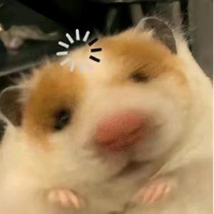 摆烂的鼠子🐹头像