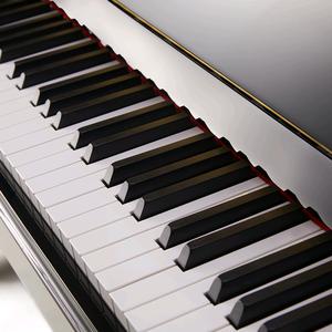 数码钢琴推荐官头像