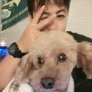 秦啥啥就是我。头像