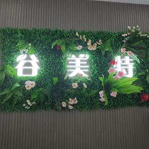宜黄谷美特头像