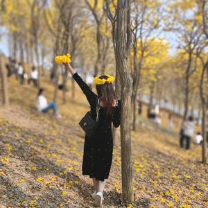 苏苏(孤心未眠）头像