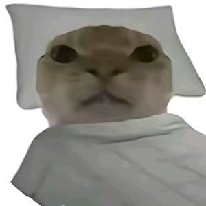 黄嘎（想到378粉）🤓🤫😈头像