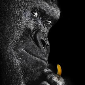 哎呦歪2号2号还是2号🥕头像