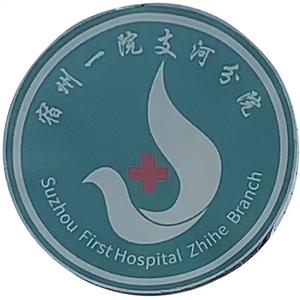 支河镇卫生院头像