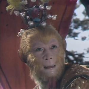 追剧时光机头像