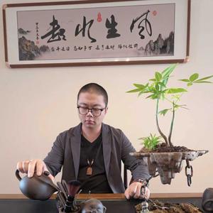 老张说乐园头像