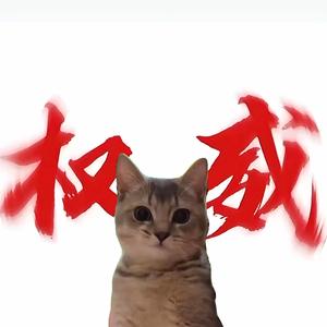 猫meme小剧场头像