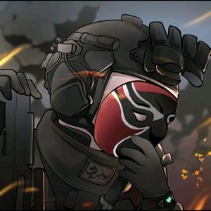 野蜂(三角洲行动)头像